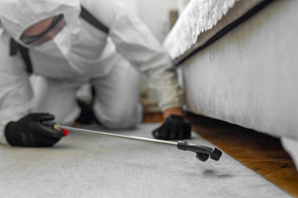 Professional Bed Bug Control technician working in Rockland, ME
