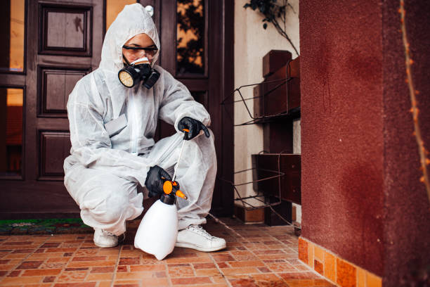 Reliable Bed Bug Control contractor in Rockland, ME by Nex Pest Control