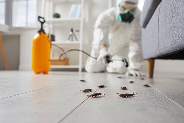 Trusted Mosquito Control service in Rockland, ME - Nex Pest Control