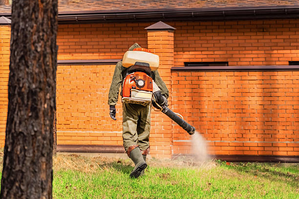 Trusted Emergency Pest Control service in Rockland, ME - Nex Pest Control
